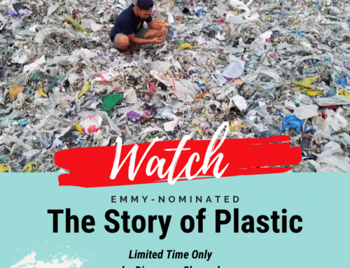 Watch The Story of Plastic for free on Discovery YouTube
